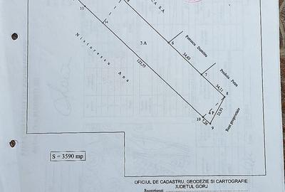 Spațiu comercial, în Bumbești-Jiu