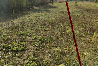 Spațiu comercial, în Valea - 1