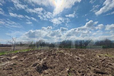 Teren intravilan de vanzare, 1500 mp, zona ?oimu? - 2