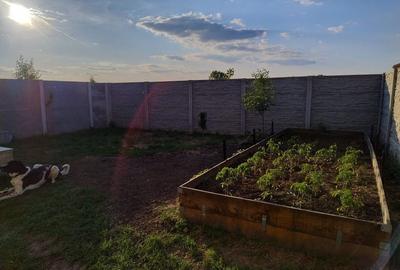 Casa pe parter in Bucovat - 9