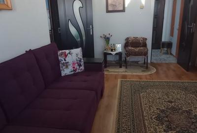 Apartament cu 2 camere decomandat, mobilat în Podu Roș - 2