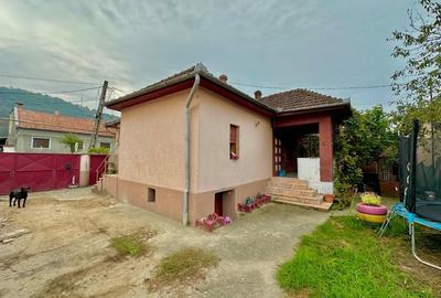 Două case la curte comuna, 700mp teren, Bocșa Montană (Str Reșiței) - 2