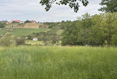 Spațiu comercial, în Uileacu de Munte - 3