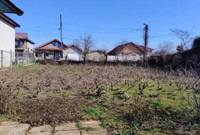 Teren de 1000 mp, în Limanu - 2