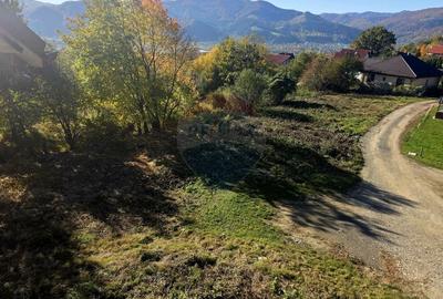 Casa / Vila cu 5 camere de vanzare - 42