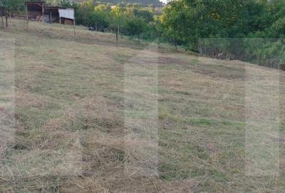 Teren de 800 mp, în Central - 5