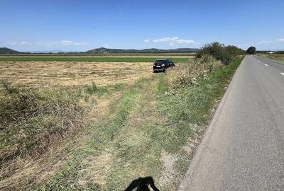 Teren de 5000 mp, în Hărman - 3