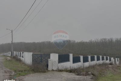 Spațiu comercial, în Brănești - 10
