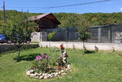 Vand casa - 4