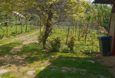 Casă cu 4 camere în Gureni - 16