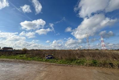 Teren Intravilan 5.303 mp .Dezvoltare Logistica, Industriala sau Rezidentiala A0 - 5