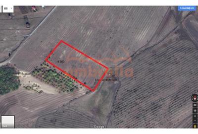 Teren de vanzare 11,600 mp in Campenesti, langa lacul 1 - 3