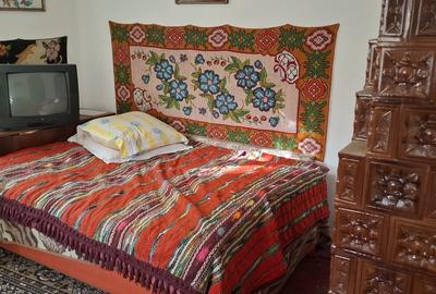 Casa batraneasca cu teren in Nehoiu, Buzau Casa batraneasca cu teren in Nehoiu, Buzau - 9