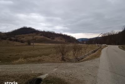 Teren de 2500 mp, în Central - 6