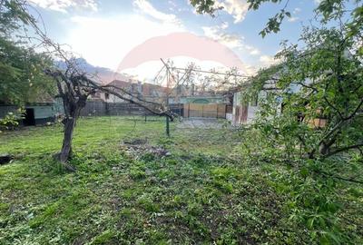 Casă cu 2 camere cu Teren 703 Mp în Gura Râului - 17
