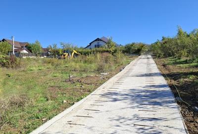 Teren intravilan , Bucium Barnova - 6