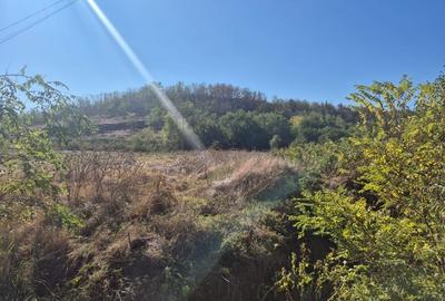 Teren Construcții intravilan de 2000 mp, în Condeești - 3