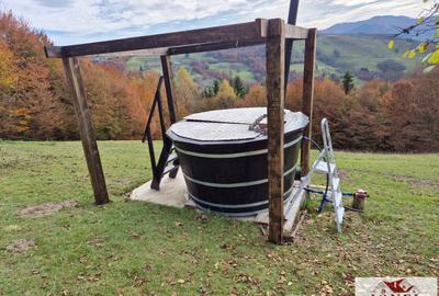 Casă individuală cu 11 camere cu Teren 114144 Mp în Abrud - 10