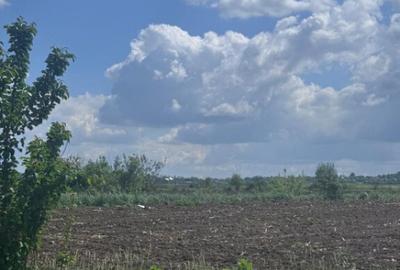 Teren extravilan, 7800mp, Burla - 9