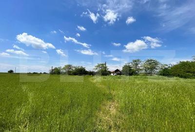 Teren Construcții intravilan de 4444 mp, în Aeroport - 1