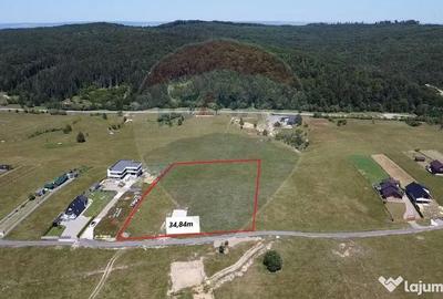 Teren de 3322 mp, în Paltin - 12