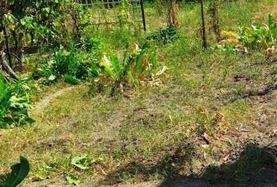 Casa de vanzare in Sebes Casa de vanzare in Sebes - 5