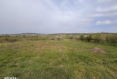Teren de 793 mp, în Paleu - 5