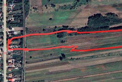 Casă individuală cu 2 camere cu Teren 300 Mp în Fișcălia - 3