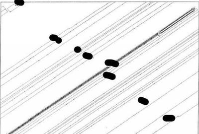 Teren extravilan Pietroasele, ID: R2586802 - 9