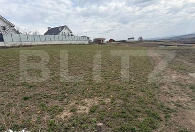 Teren de 800 mp, în Șcheia - 2