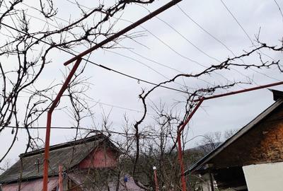 Teren 507mp cu casa batraneasca Valea Popii (Mihaesti), Arges - 15