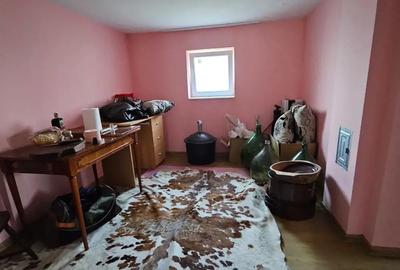 Casă cu 2 camere în Sâmbăteni - 2