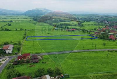 Teren Construcții intravilan de 6956 mp, în Brăișoru - 3