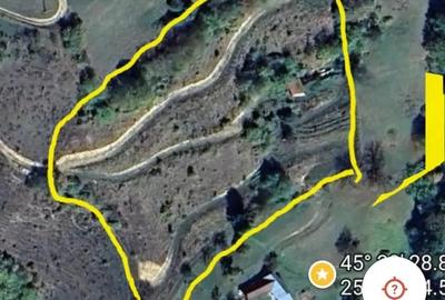 25 km de Brasov , 60 m2 constructii , 12 000 m2 - 1