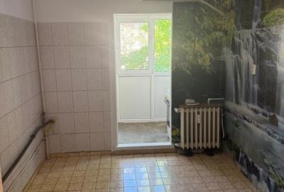 Apartament cu 2 camere decomandat în Valea Rosie - 2