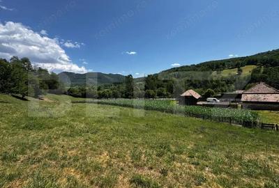 Casa cu 6000 mp teren, Poiana Ampoiului - Metes - 7