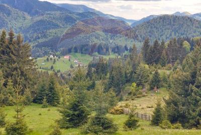 O fereastra catre cer teren de vis in Fundata, la ... - 36