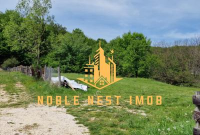 Teren extravilan 2200 mp - Budeasa Mica, Arge?, COMISIO... - 2