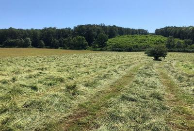 Teren arabil de 630 hectare in Gala?i - 3