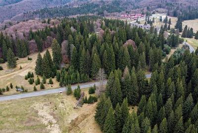 Teren cu potential:1.000 mp,proiect turistic/rezidential,Poiana Brasov - 12