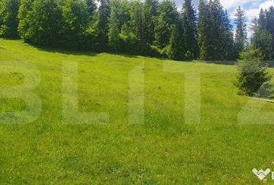 Casă cu 2 camere cu Teren 30000 Mp în Central - 6