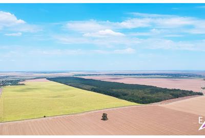 Teren Construcții intravilan de 1621 mp, în Frumușani - 3