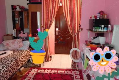 Garsonieră în Olimpia-Stadion