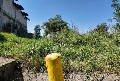 TEREN INVESTITIE ARGES - LANGA CURTEA DE ARGES TEREN INVESTITIE ARGES - LANGA CURTEA DE ARGES - 3