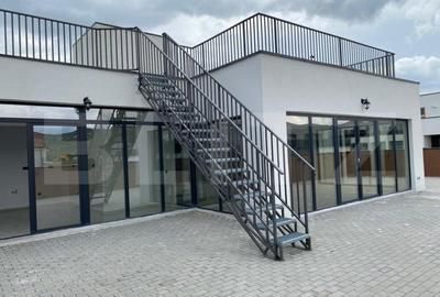 Penthouse 200 mp utili, 400 mp terasa, 2 garaje, 1 parcare, zona Baciu - 17