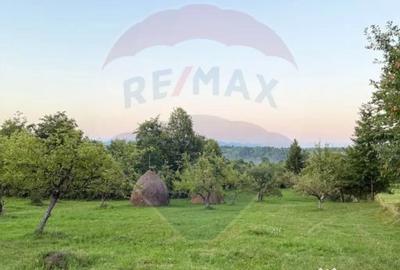 Teren de 4193 mp, în Breb - 5