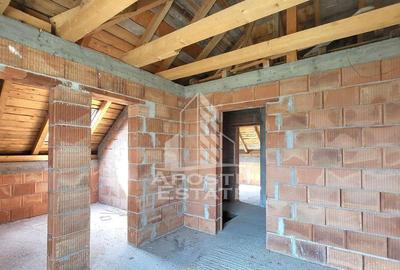 Casa individuala cu 5 camere,3 bai si garaj,Becicherecul Mic - 13