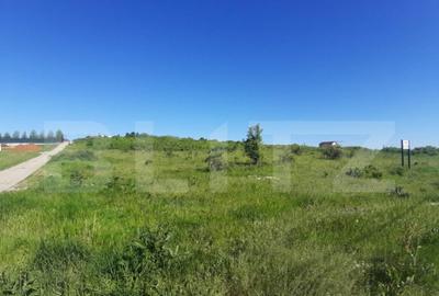 Teren intravilan 31.000 mp, zona Hanul Doctorului - 2