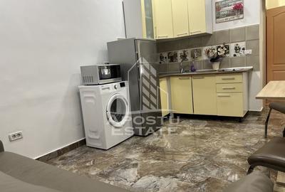 Apartament cu 2 camere, parter, curte, zona Piata Maria - 4