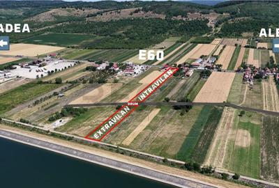 RECO Teren intravilan 6890mp in Urvind - 2